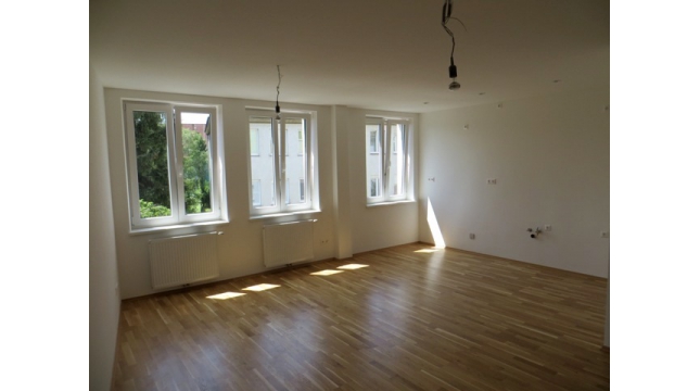3 zimmer erstbezug absoluter ruhelage