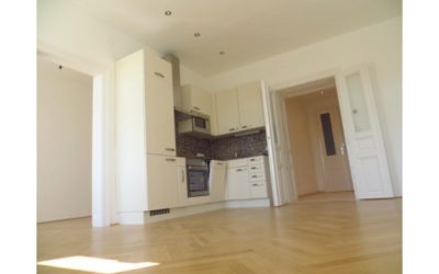 2 zimmer altbaujuwel erstbezug nach sanierung