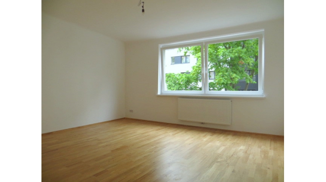 Top sanierte 3 zimmer zentral begehbar