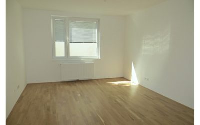 2 zimmer topsaniert nähe schuberthpark