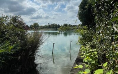 DIREKT AM BADETEICH MIT PRIVATER WASSERFRONT!