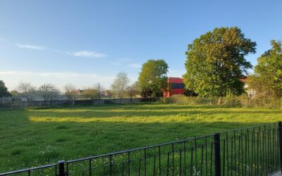 WOHNBAUPROJEKT 17 Einheiten oder 4 RHs 1 DH