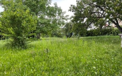 1220 Wien, bauen Sie selbst Ihr Traumhaus!!