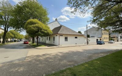 Einfamilienhaus ODER ein kleines Bauprojekt?
