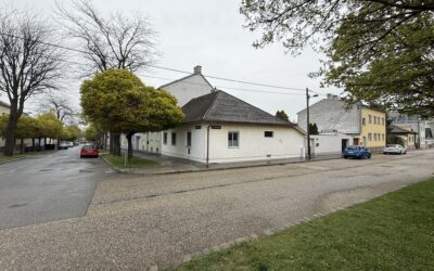 Einfamilienhaus ODER ein kleines Bauprojekt?